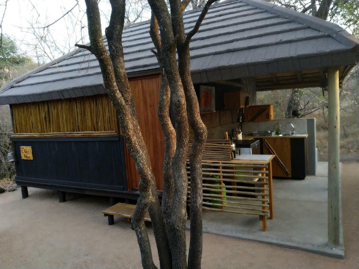 Off Beat Safaris Bush Lodge Hoedspruit Exterior photo
